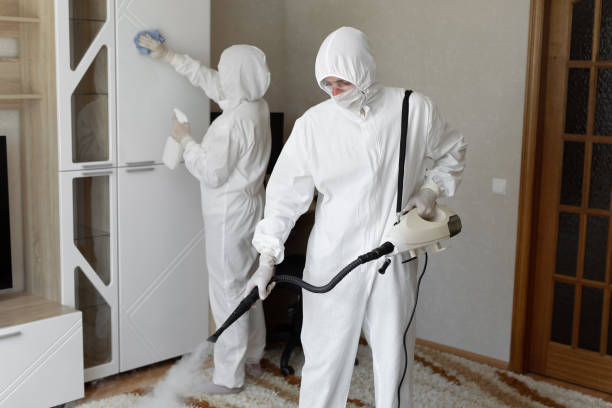 Affordable Sewage Cleanup solutions in Mead, CO